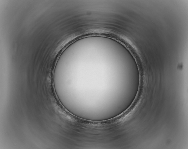 X0000089731025200706210912