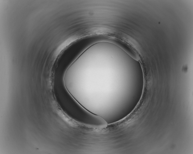 X0000089731026200706210912