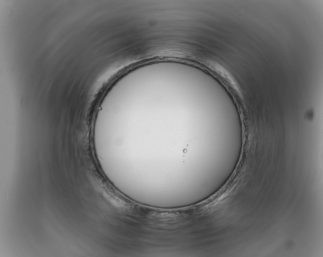 X0000089731027200706210912