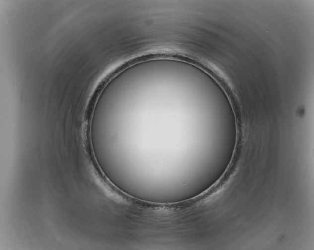 X0000089731029200706210912