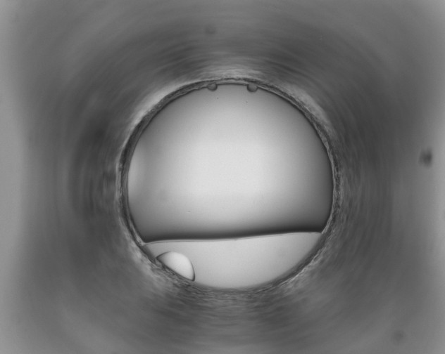 X0000089731031200706210912