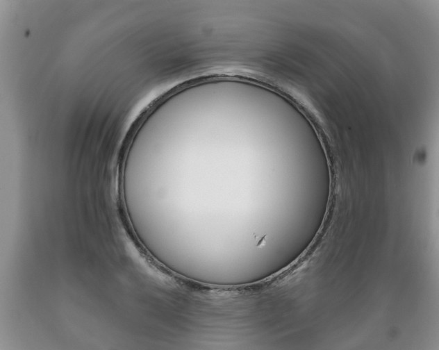 X0000089731032200706210912