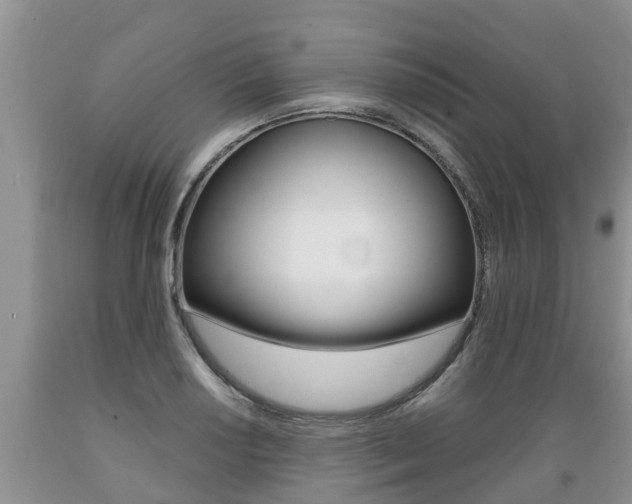 X0000089731034200706210912
