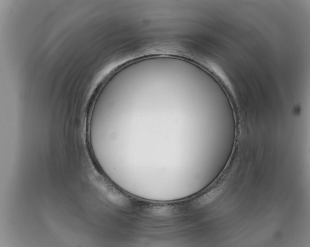 X0000089731035200706210912