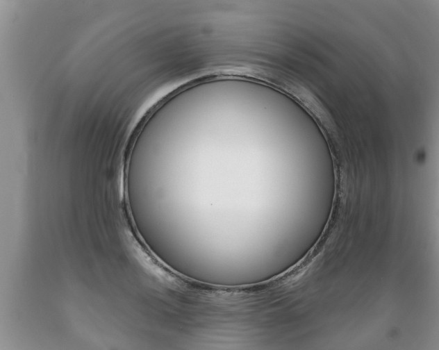 X0000089731036200706210912
