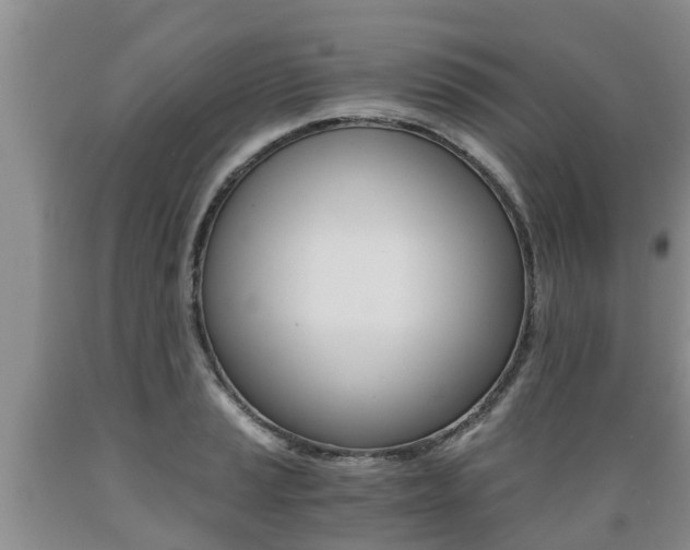 X0000089731037200706210912