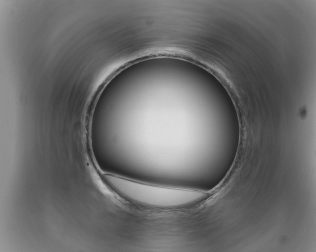 X0000089731038200706210912