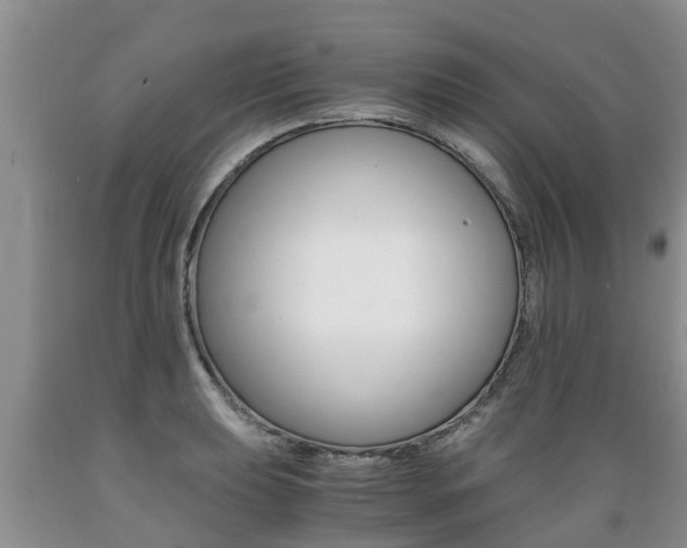 X0000089731039200706210912