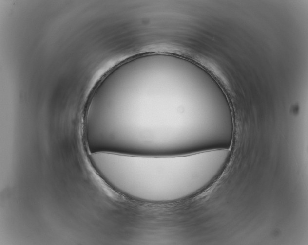 X0000089731040200706210912