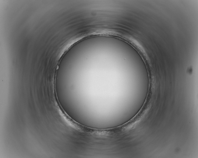 X0000089731041200706210912