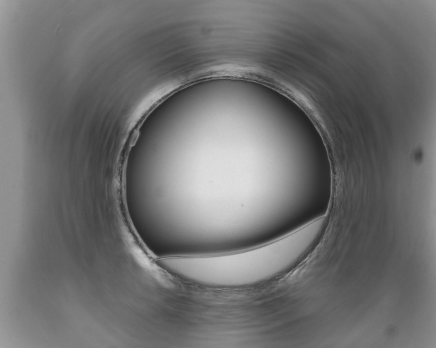 X0000089731042200706210912