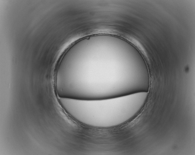 X0000089731043200706210912