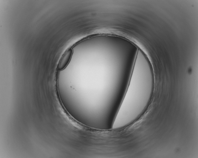 X0000089731045200706210912