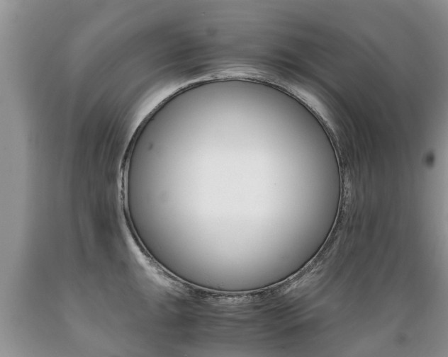 X0000089731047200706210912