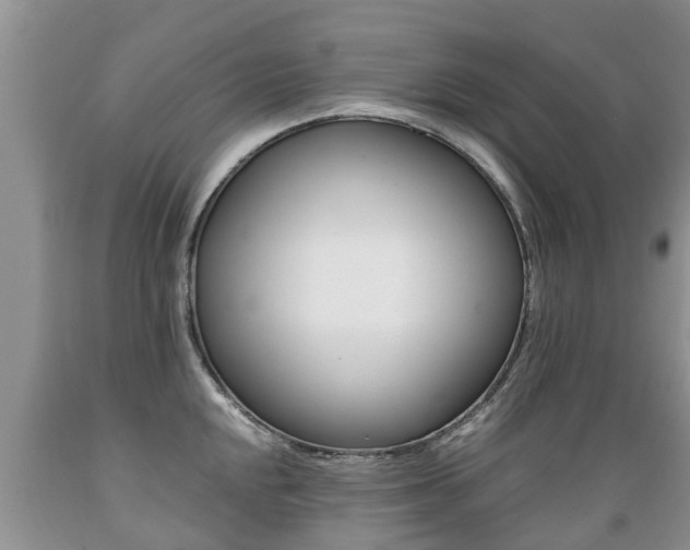 X0000089731048200706210912
