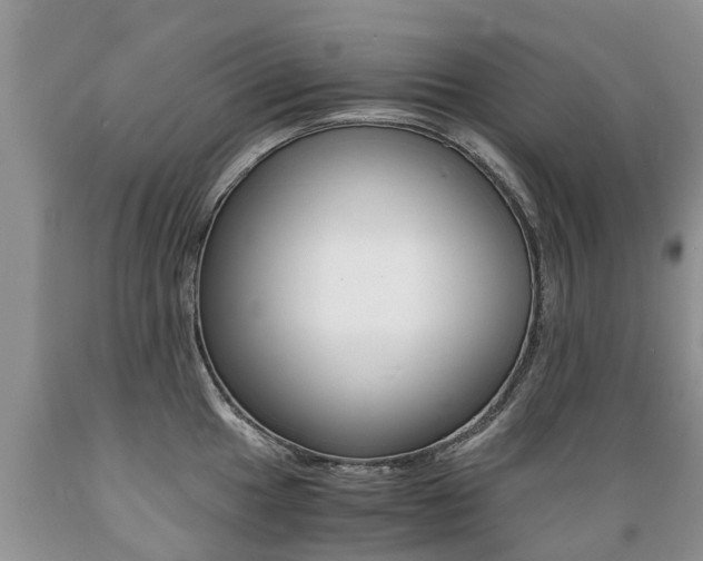 X0000089731049200706210912