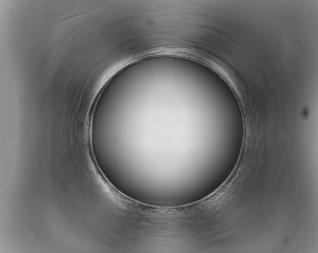 X0000089731050200706210912