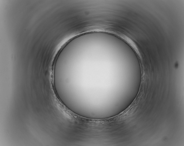 X0000089731051200706210912