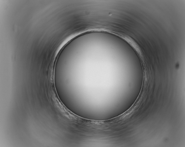 X0000089731052200706210912