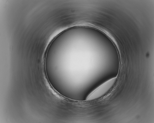 X0000089731053200706210912