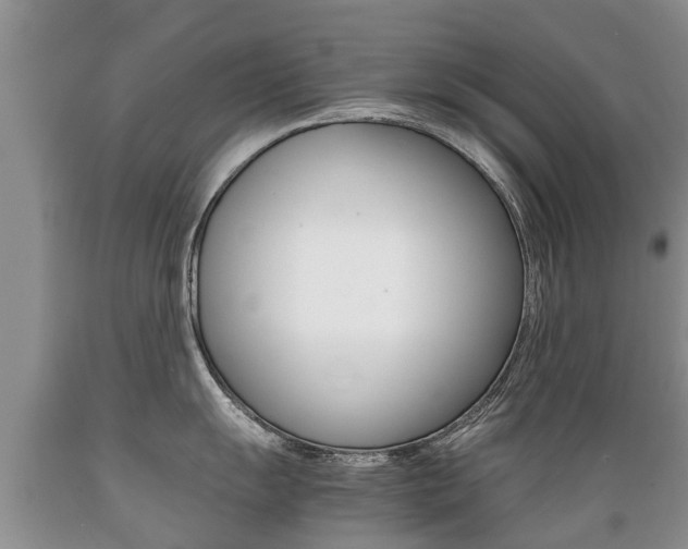 X0000089731055200706210912