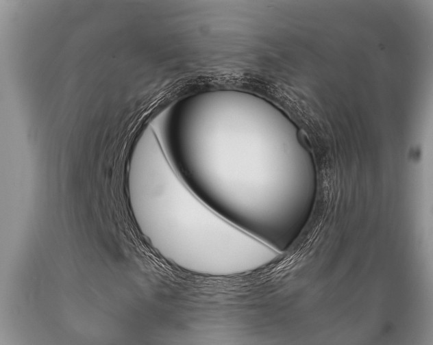 X0000089731057200706210911