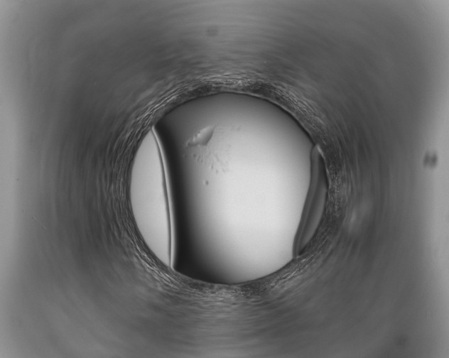 X0000089731058200706210911