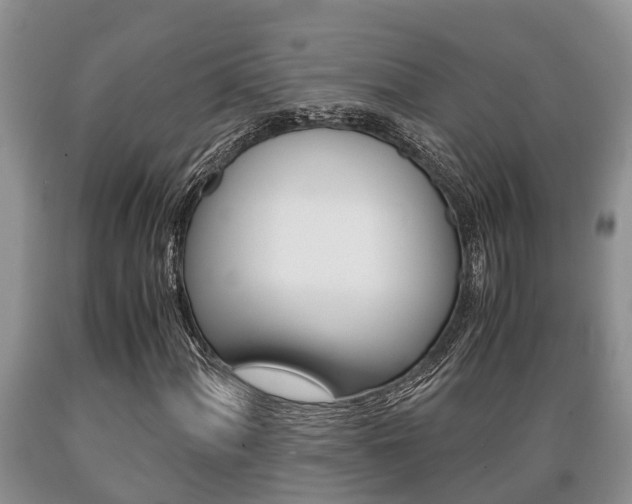 X0000089731060200706210911