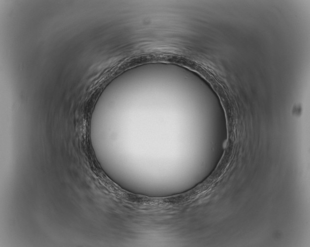 X0000089731061200706210911
