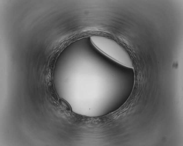 X0000089731062200706210911