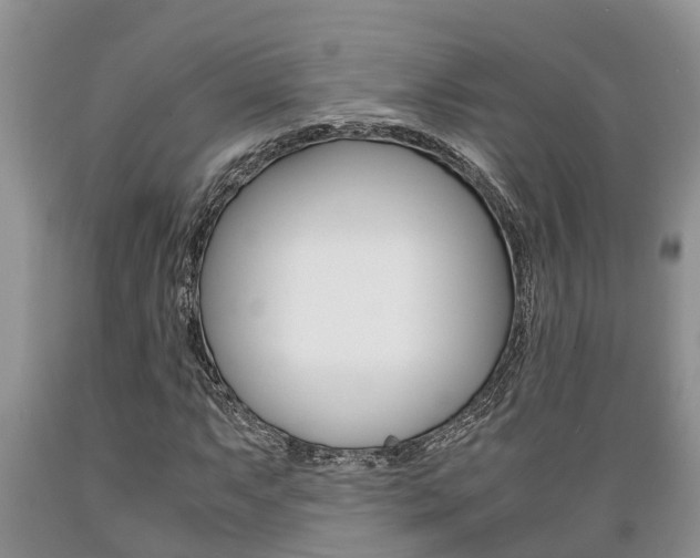 X0000089731063200706210911
