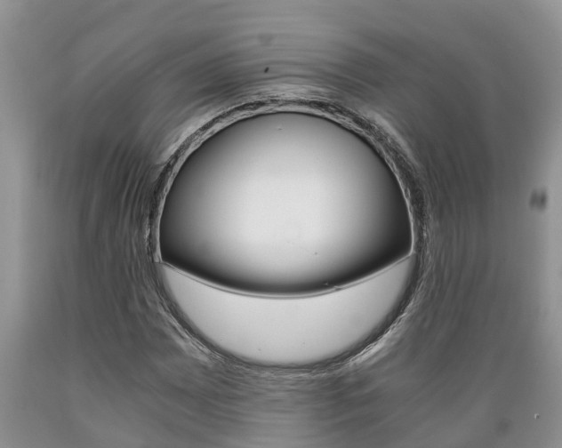 X0000089731065200706210911