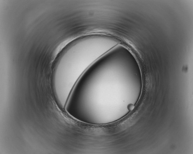 X0000089731066200706210911