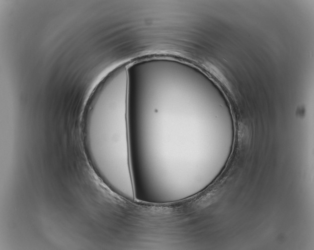 X0000089731068200706210911