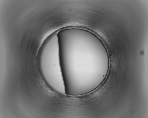 X0000089731070200706210911