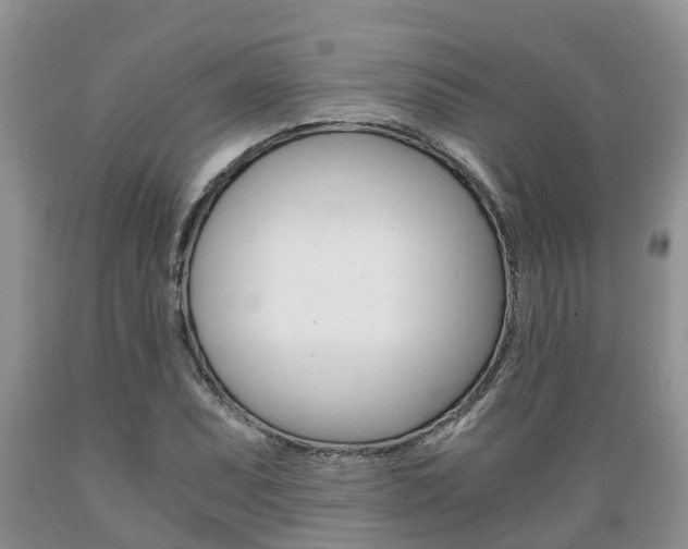 X0000089731071200706210911