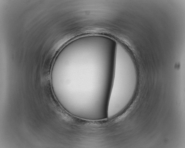 X0000089731073200706210911