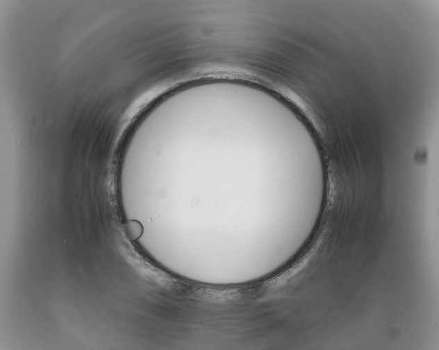 X0000089731074200706210911