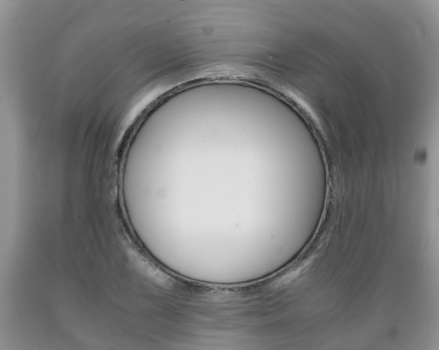 X0000089731075200706210911