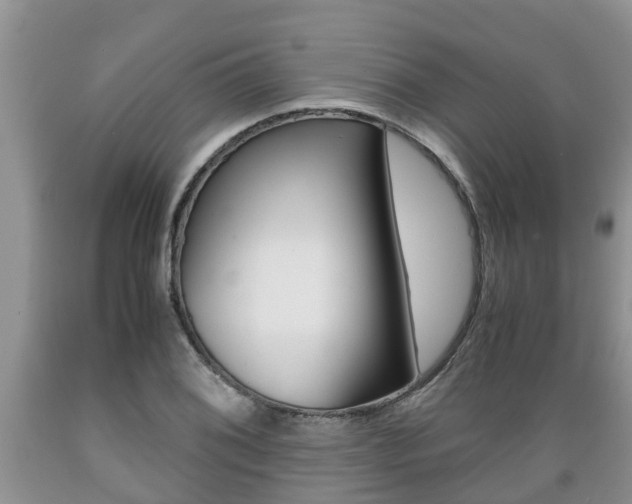 X0000089731076200706210911