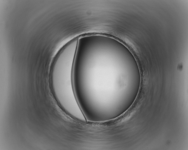 X0000089731077200706210911