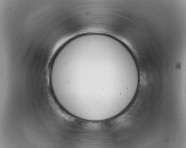 X0000089731078200706210911