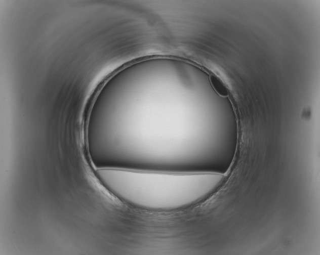 X0000089731080200706210911