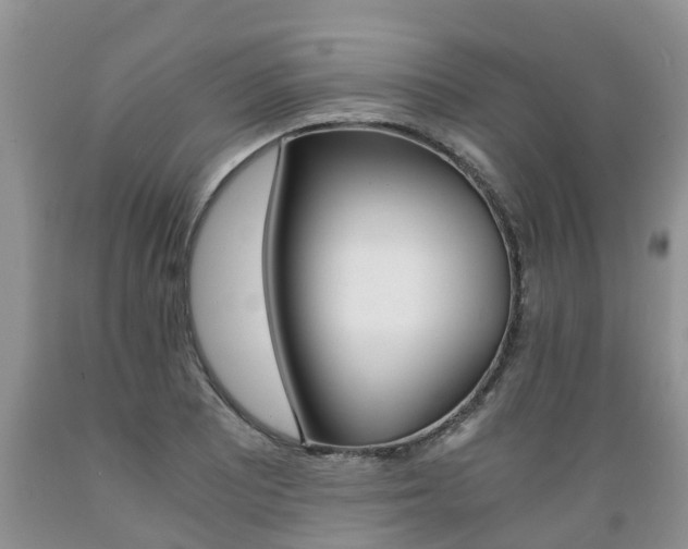 X0000089731081200706210911