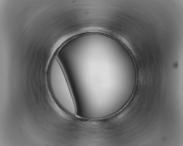 X0000089731082200706210911