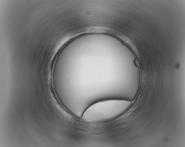 X0000089731083200706210911