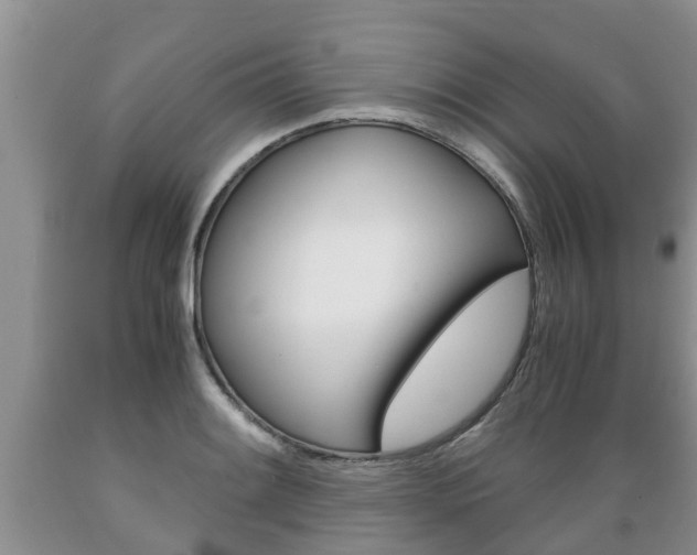 X0000089731084200706210911