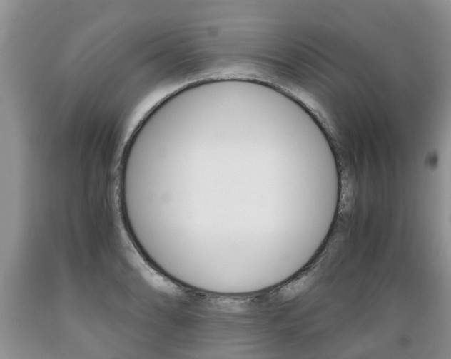 X0000089731086200706210911