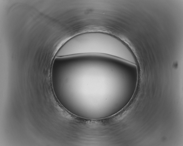 X0000089731089200706210911