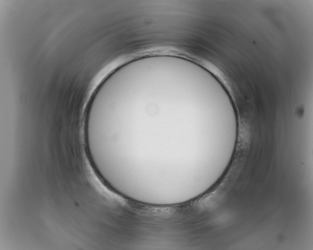 X0000089731090200706210911